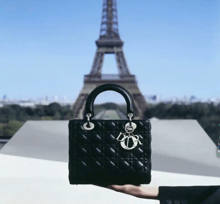 Top 10 Dior Bag Dupes: Affordable Alternatives to Iconic Dior Bags